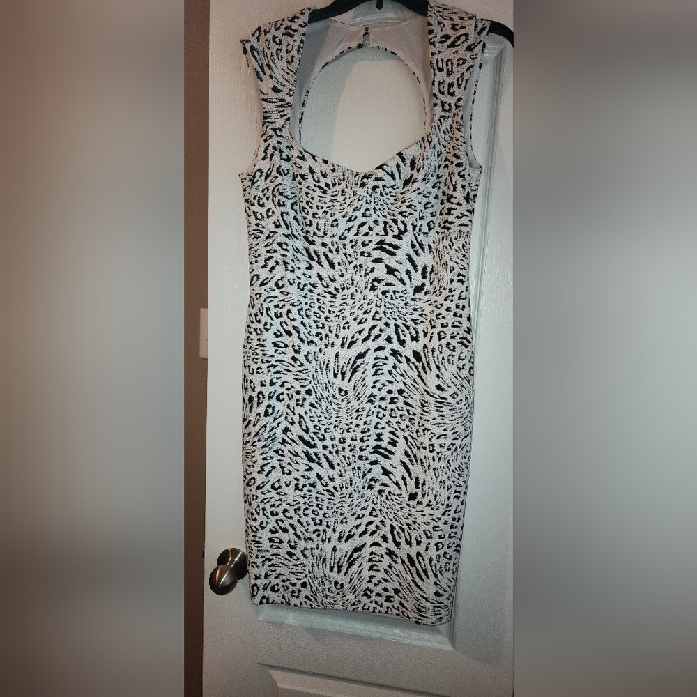 Cache Dress
